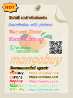 Sudadera Capucha ST*SSY Streetwear Californiano