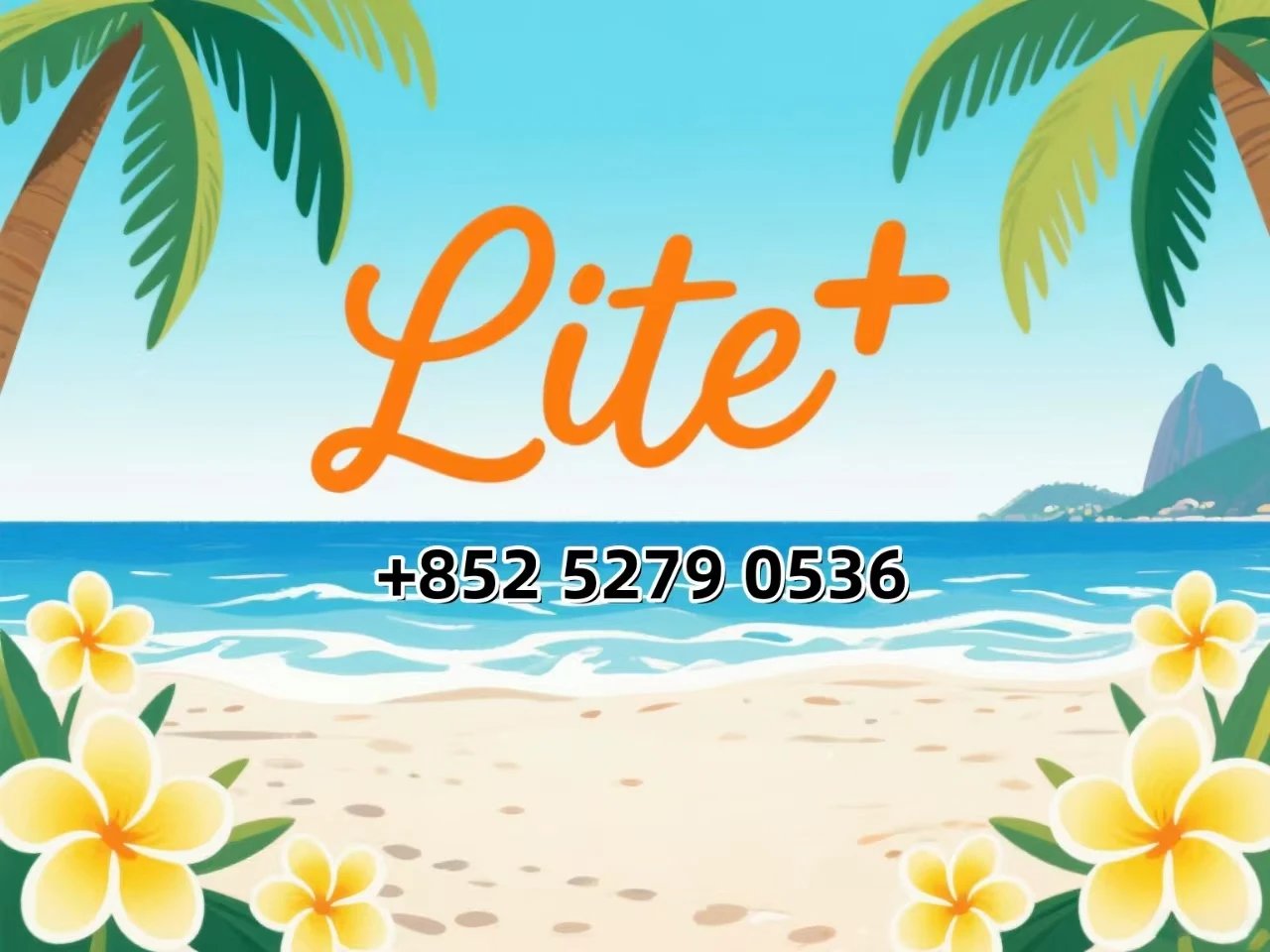 Bolsa ZX-1 Tres Piezas Calidad Alta